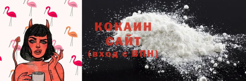 купить   Венёв  Cocaine 98% 